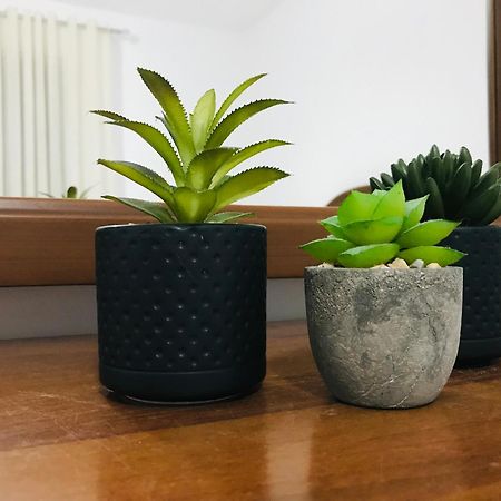 Koli Apartament بيرات المظهر الخارجي الصورة